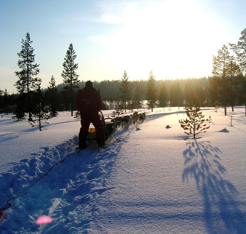 Skandinavien_Winter