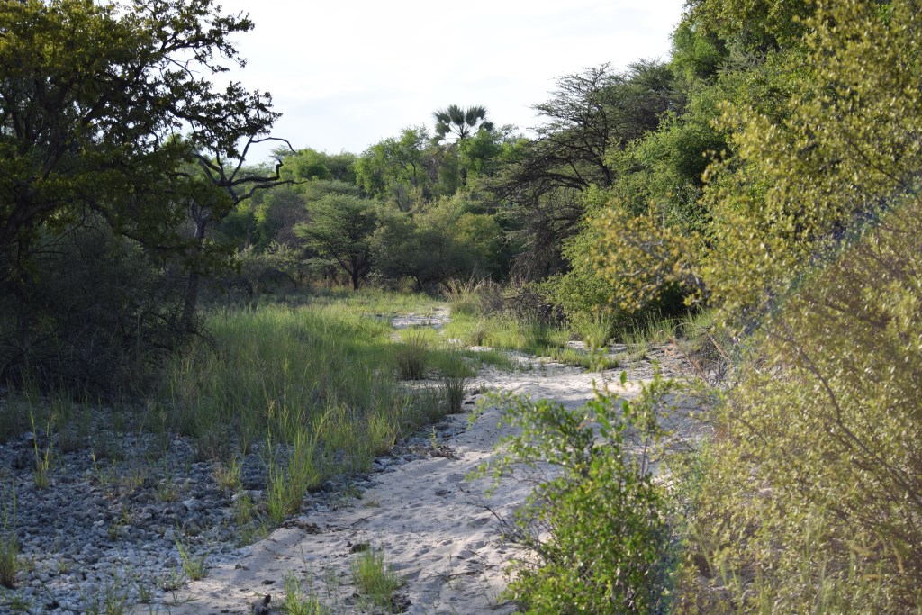 Muramba_Bushmen_trail