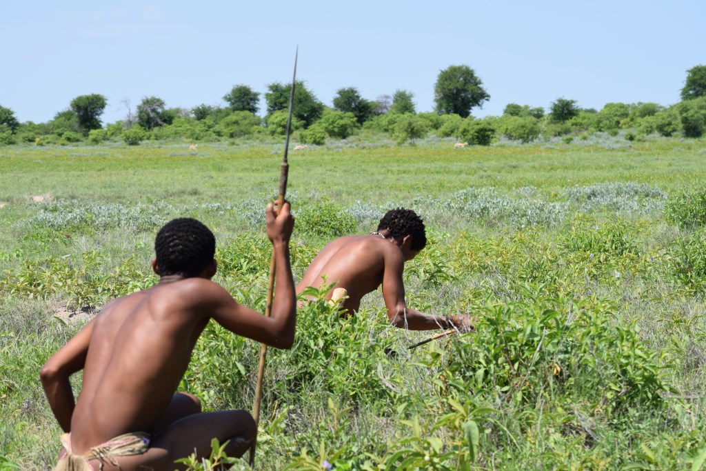 Auf Jagd und Safari mit Buschmännern