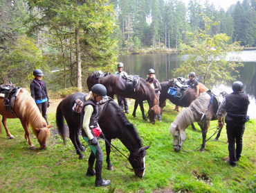 Reiten im Naturpark